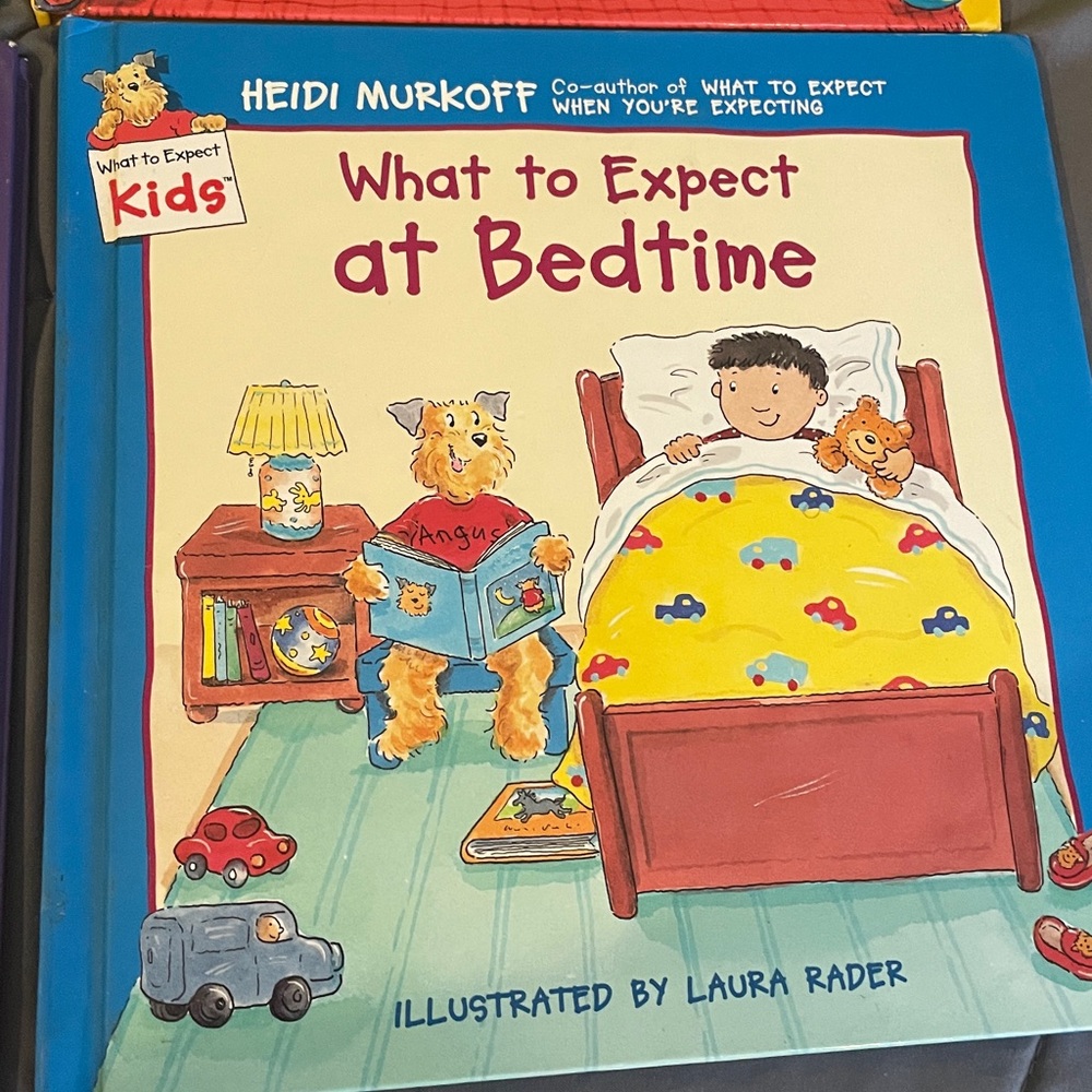 Children's Book Set by Heidi Murkoff - Picture 7 of 9